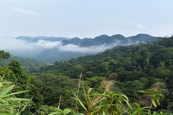 3D 2N Pu Luong Featured Tour: Serenity and Discovery Amidst Nature - photo 18